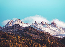 数据分析-胡金秋、赵继伟走进校园 CBA全明星场外也温暖